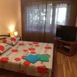 1-комнатная квартира на ЧАСЫ, НОЧЬ, СУТКИ в Гродно 