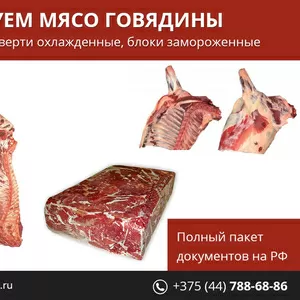 Реализуем мясо говядины. Полный пакет документов на РФ.