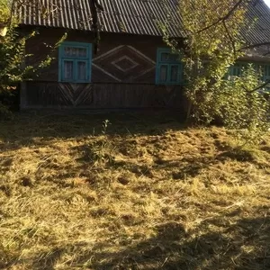 Продам дом на территории Беловежской пущи