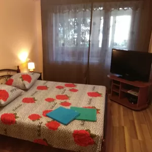 1-комнатная квартира на ЧАСЫ, НОЧЬ, СУТКИ в Гродно 