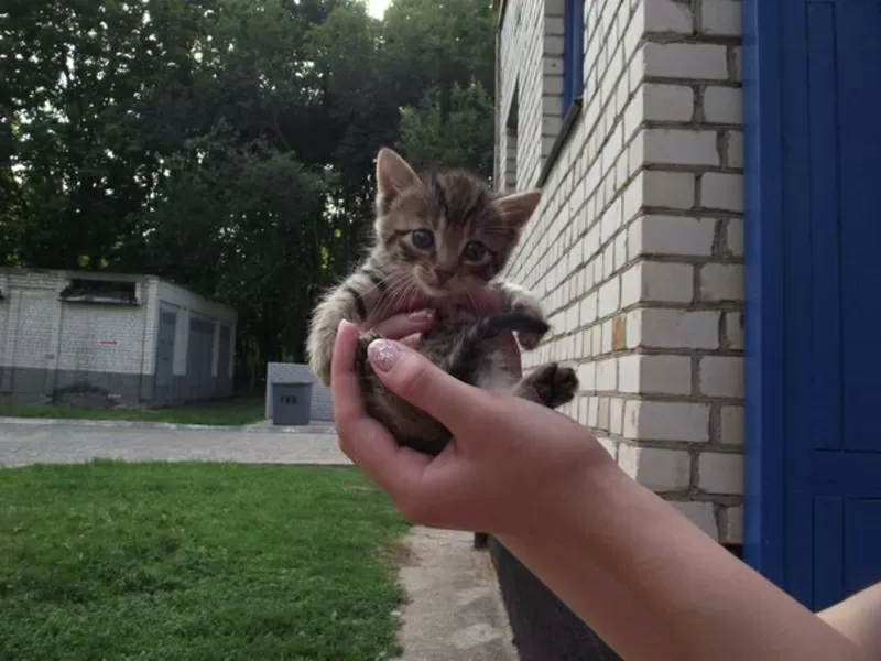 Маленькие мальчики из приюта в ДАР