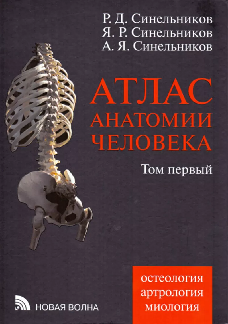 Атлас анатомии человека Синельников